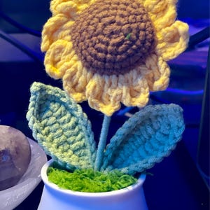 Cindi added a photo of their purchase