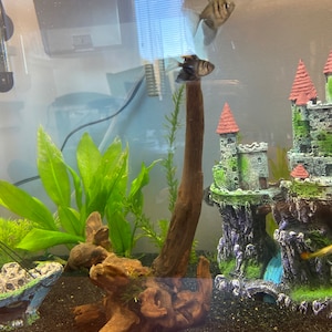 Shannon added a photo of their purchase