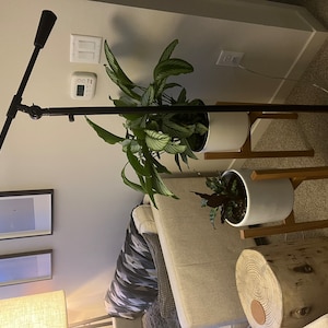Emily ha añadido una foto de su compra