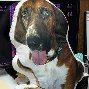 Amber ha añadido una foto de su compra