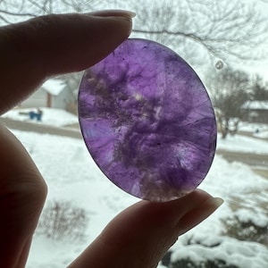Kylee added a photo of their purchase