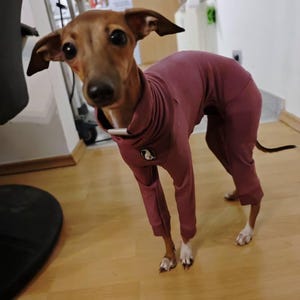 Andrea added a photo of their purchase