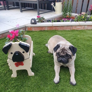 Laura added a photo of their purchase