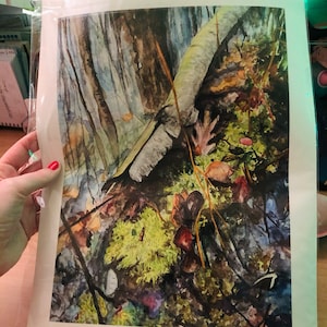 Debbie added a photo of their purchase
