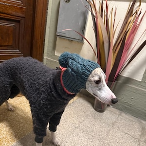 Francesco added a photo of their purchase