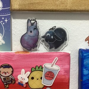 Amber さんが購入した商品の写真を追加しました