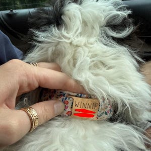 Hallie added a photo of their purchase
