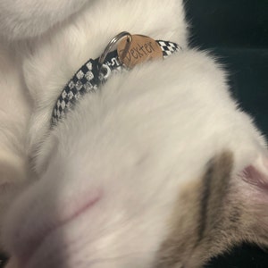 Dakotah added a photo of their purchase