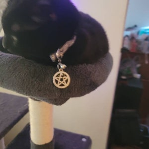 Sam added a photo of their purchase