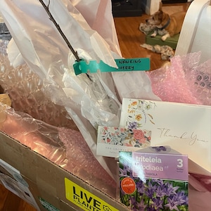 Imelda added a photo of their purchase