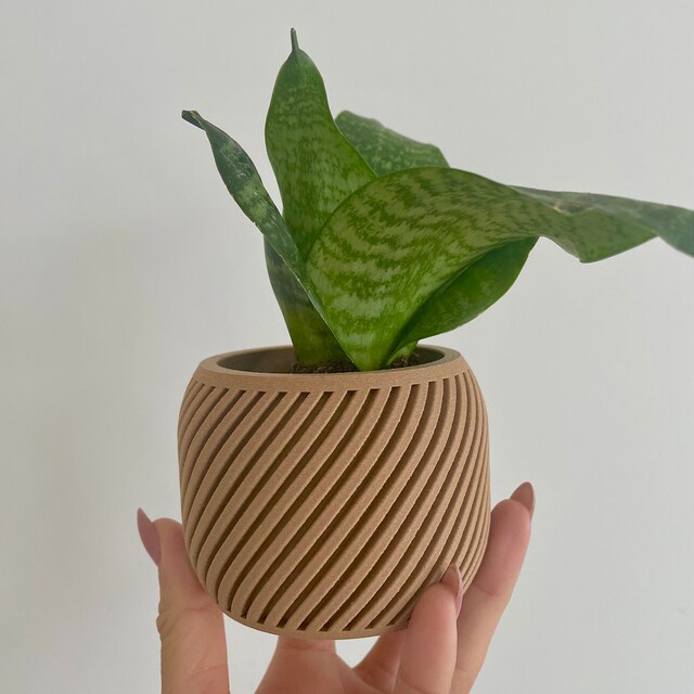 Set of 3 Mini Indoor Planters Plat Pots - Minimalist