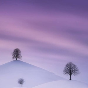 Virginia added a photo of their purchase