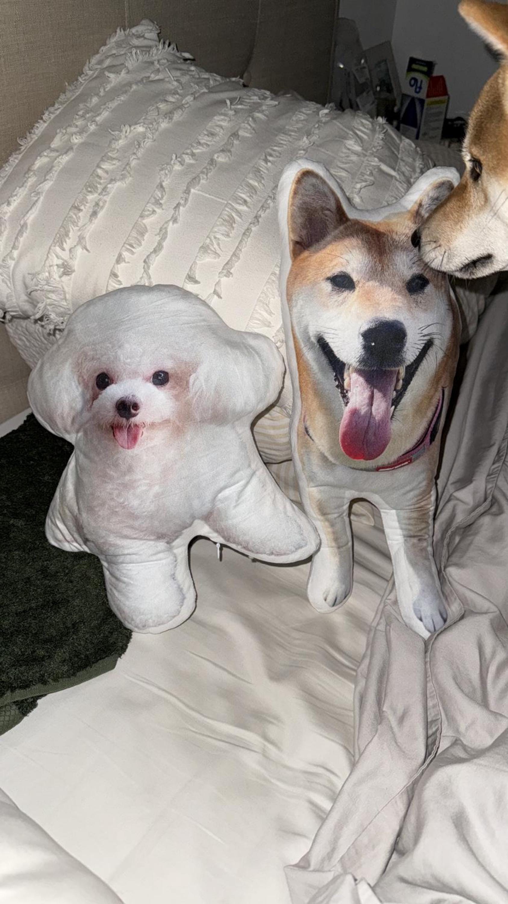 Custom Pet Pillow | Personalized Pillow | Pet Memorial Gift | Custom shaped pillow | Dog Pillow | Cat Pillow | Pet Lover Gift
