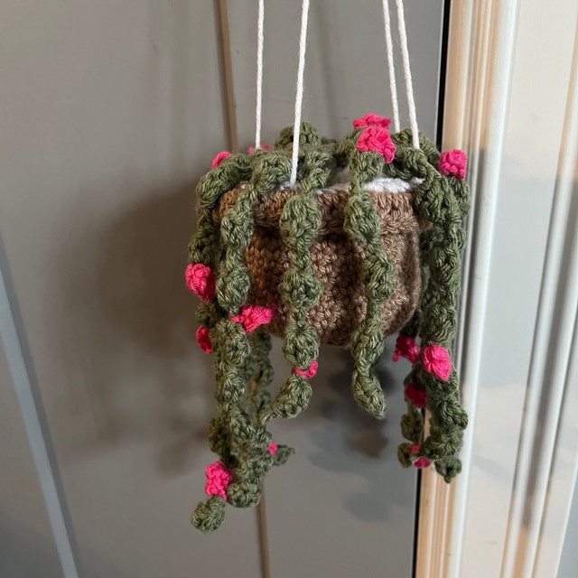 String of Pearls Easy Crochet Plant - Easy to Follow Written Crochet P -  Secret Yarnery