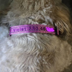 Mia added a photo of their purchase