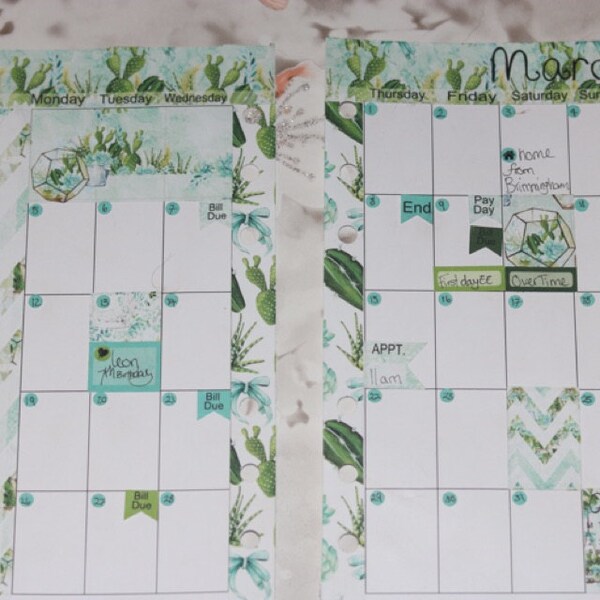 Succulent Paper Pack, Cactus Pattern, Botanical Seamless, Glass ...