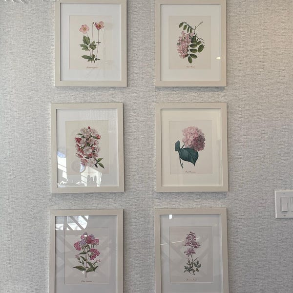 Vintage Pink Roses Wall Art Prints - Set of 6 - Botanical Prints ...