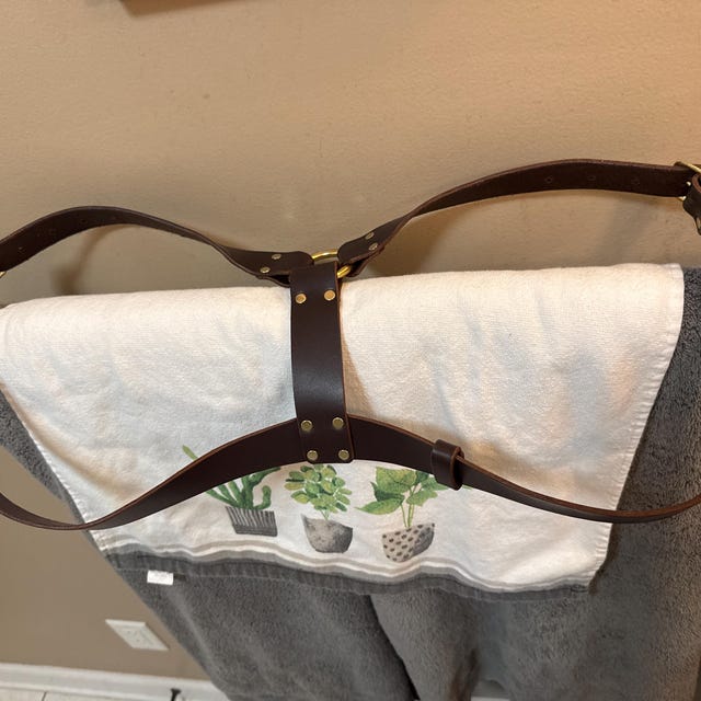 Shoulder Harness (thick Straps 1.25