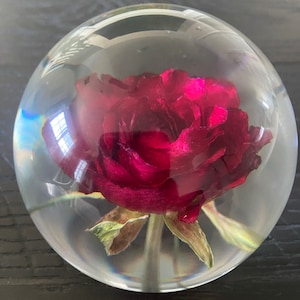 Kristina added a photo of their purchase