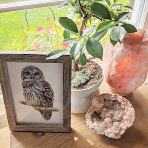 AnnaLisa added a photo of their purchase