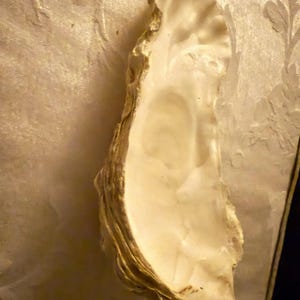 Phyllis added a photo of their purchase