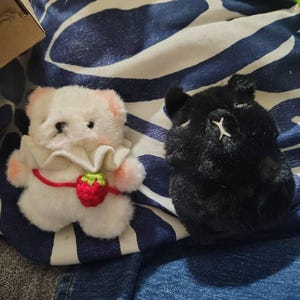 Katlyn added a photo of their purchase
