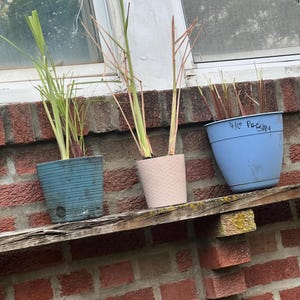 Sterline added a photo of their purchase