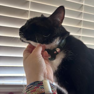 Lesdy heeft een foto van de aankoop toegevoegd