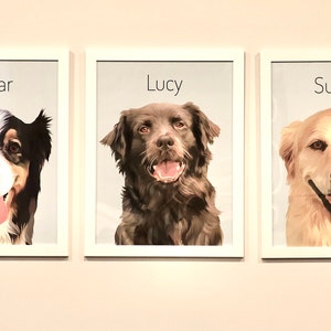 Tracy hat ein Foto des gekauften Artikels hinzugefügt