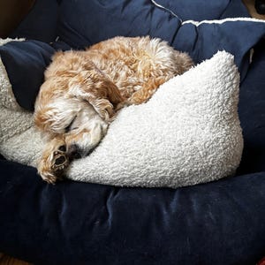 Daphne heeft een foto van de aankoop toegevoegd