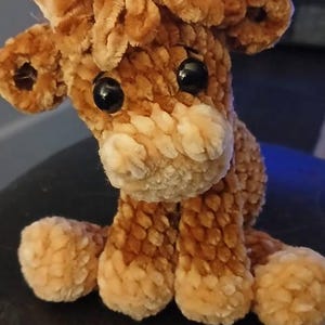 Laura added a photo of their purchase