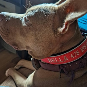 Amy ha añadido una foto de su compra