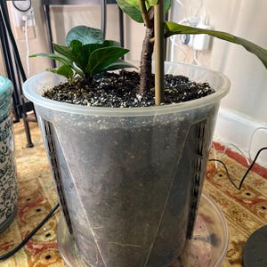 Tammy added a photo of their purchase