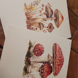 Lynne added a photo of their purchase