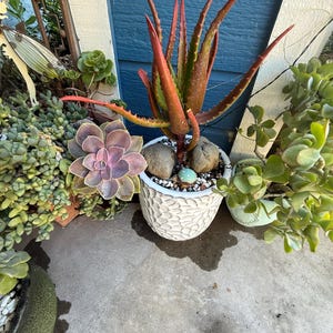 Julie added a photo of their purchase