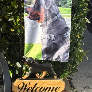 Ohridia added a photo of their purchase