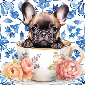 Silvana added a photo of their purchase