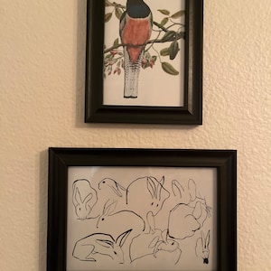 Ambar added a photo of their purchase