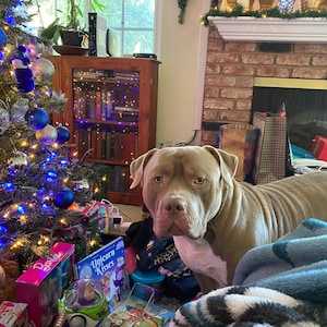 John added a photo of their purchase
