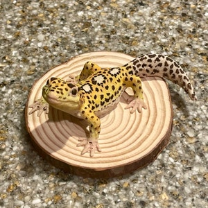 Stephanie added a photo of their purchase