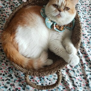 Germaine added a photo of their purchase