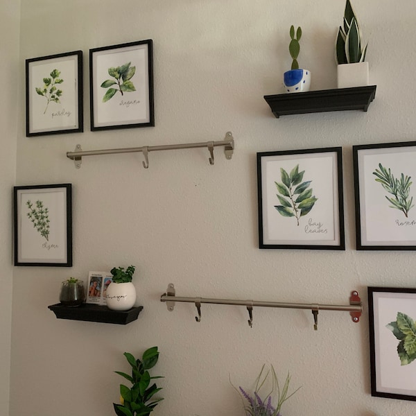 Kitchen Herbs Art Prints - Botanical Prints - (set of 6) - 8x10s - Etsy