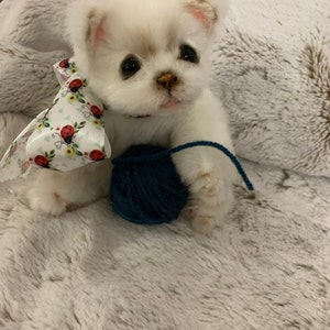 Ugo a ajouté une photo de son achat