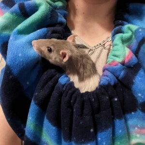 Hannah added a photo of their purchase