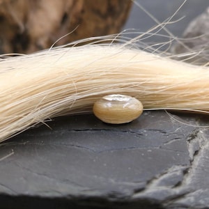 Diana added a photo of their purchase