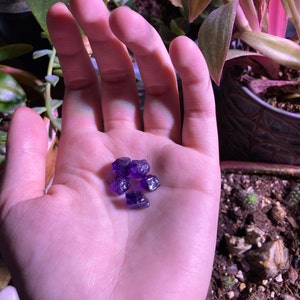Erin a ajouté une photo de son achat