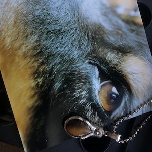 Jen added a photo of their purchase