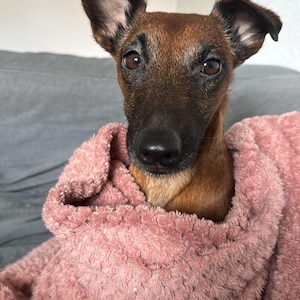 Christine a ajouté une photo de son achat