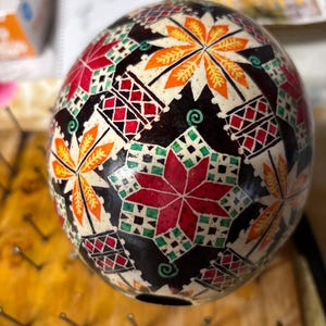 大きなアフリカダチョウの卵の殻 - ジャンボ本物のダチョウの卵 - Etsy