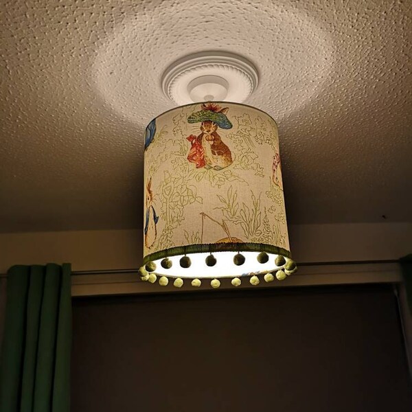 Beatrix Potter Peter Rabbit and Friends- Handmade Nursery Night Light ...